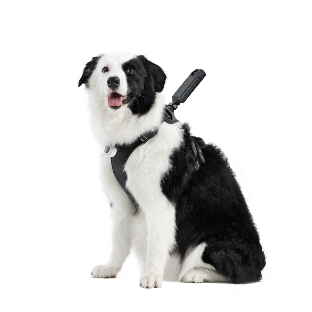 Insta360 寵物背帶支架 L 碼 Pet Harness Mount (L)