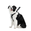 Insta360 Pet Harness Mount (L)