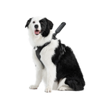 Insta360 Pet Harness Mount (L)