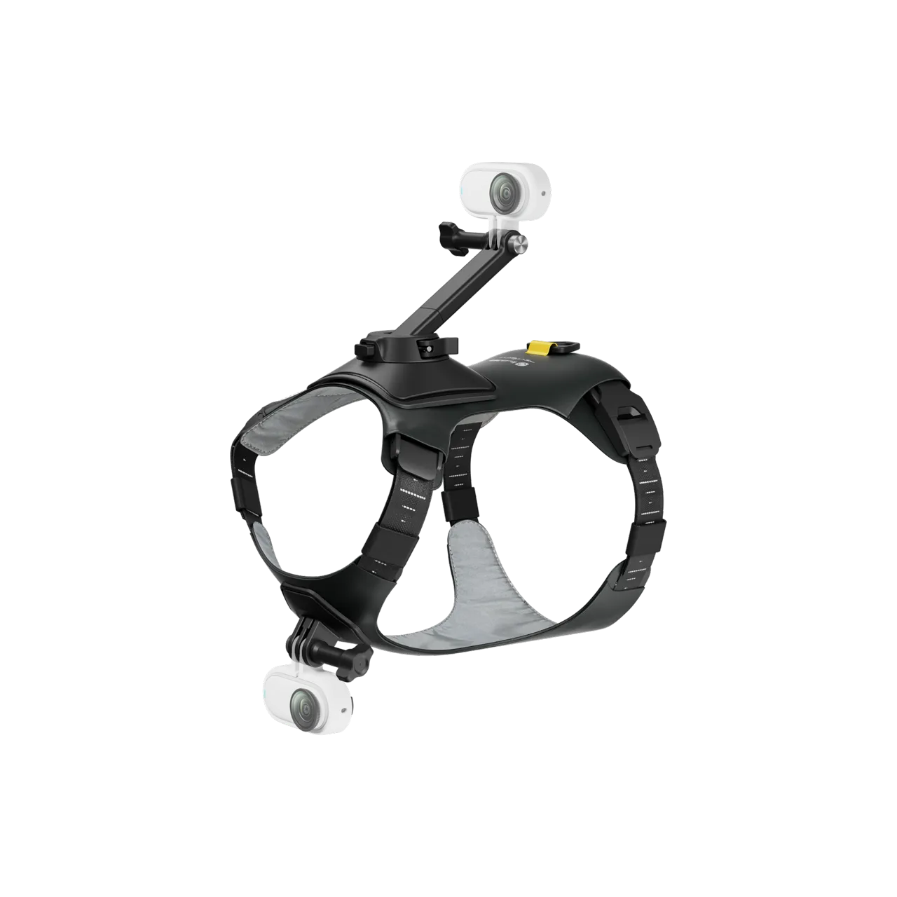 Insta360 GO3/ GO3s 寵物背帶支架