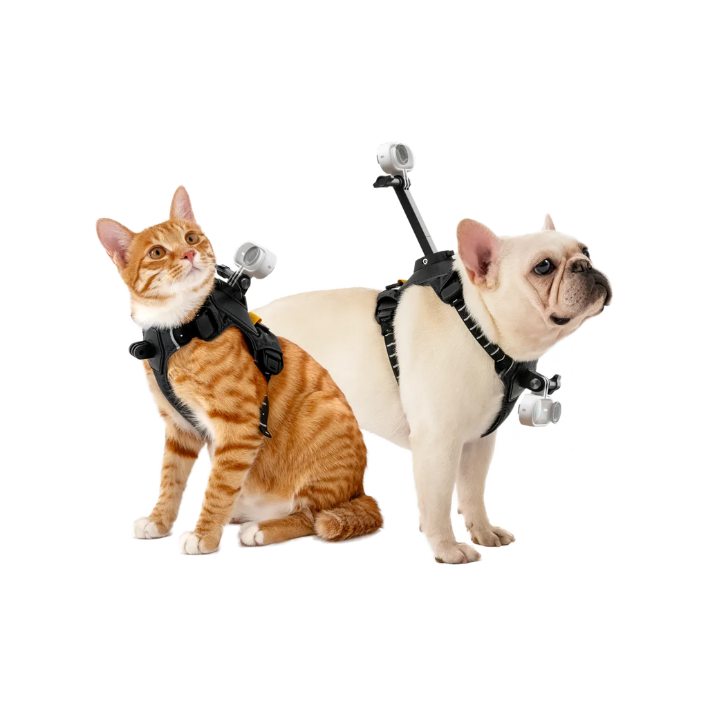 Insta360 GO 3/ GO 3S 寵物背帶支架 Pet Harness Mount
