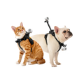 Insta360 寵物背帶支架 S/M碼 Pet Harness Mount (S/M)