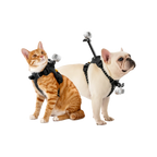 Insta360 寵物背帶支架 S/M碼 Pet Harness Mount (S/M)