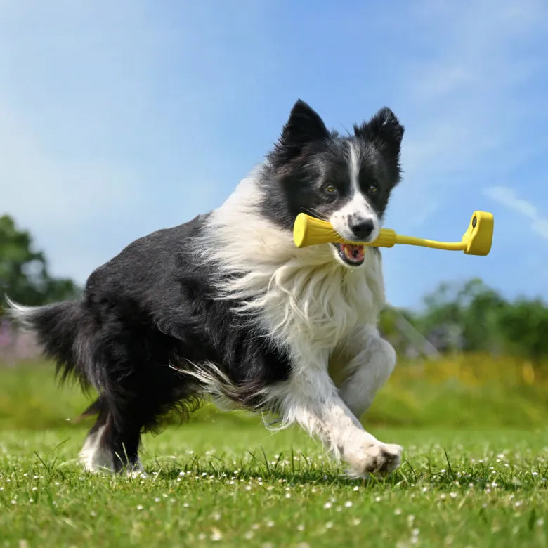 Insta GO 3 寵物棒 Fetch Stick
