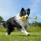 Insta GO 3 寵物棒 Fetch Stick
