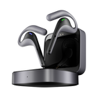 Timekettle W4 Pro AI藍芽翻譯耳機